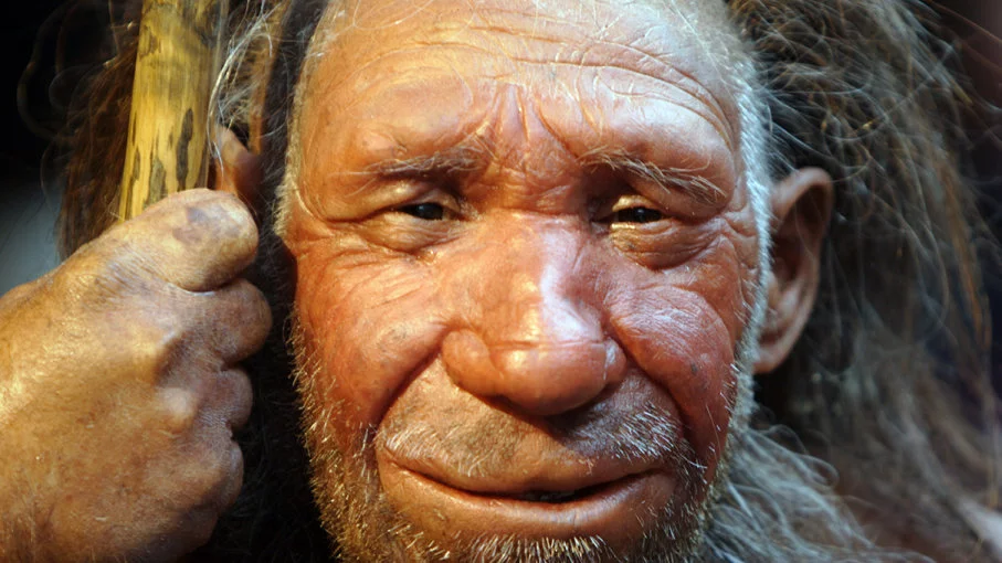 Sapiens