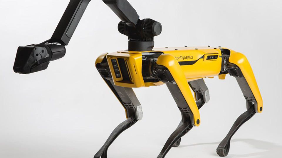 Boston Dynamics'in Robot Köpeği Kanada'da Akşam Yürüyüşü Yapıyor