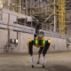 Bilim Adamları Boston Dynamics Robodog'u Çernobil'e Gönderiyor