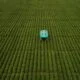 Google Ay İçin Çiftlik Robotu Yapıyor