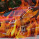 General Motors Batarya Yangınları Nedeniyle 69.000 Elektrikli Aracı Geri Çağırdı