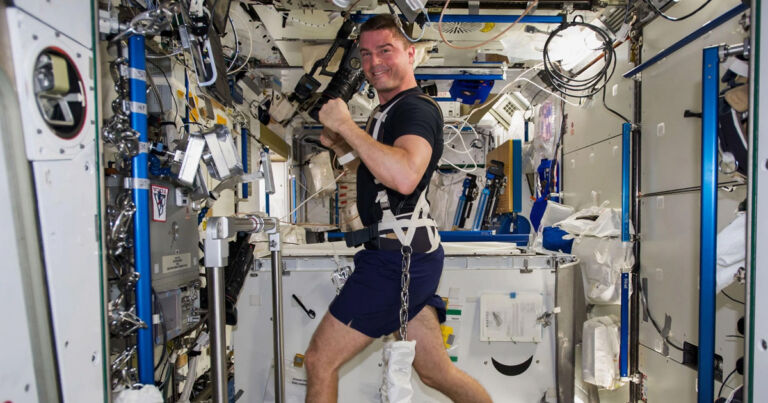 NASA Yeni Baş Astronotunu Belirledi