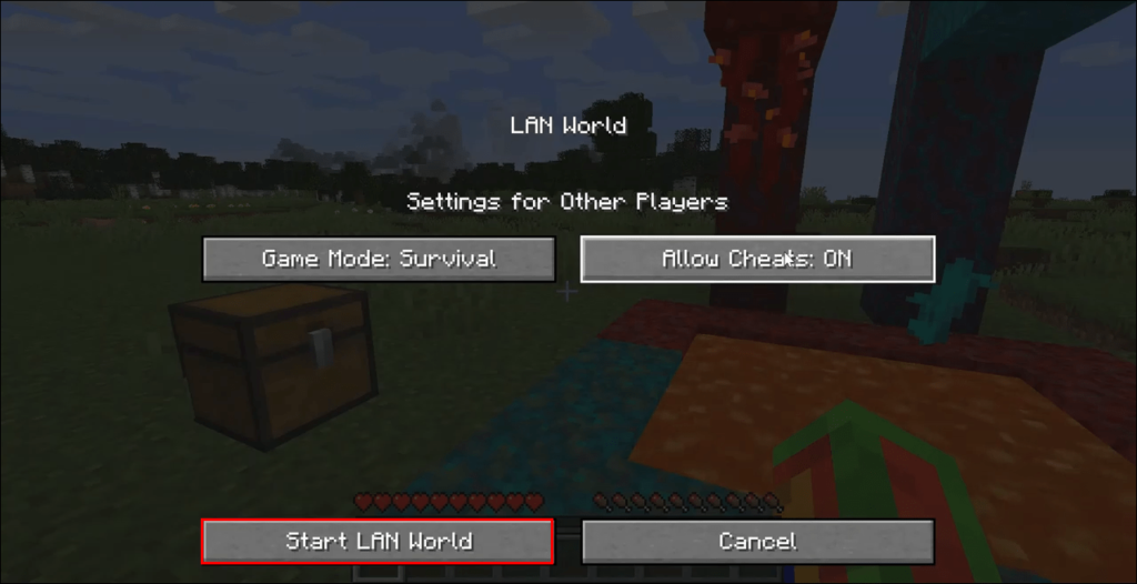 Minecraft LAN dünyası başlatma seçeneği